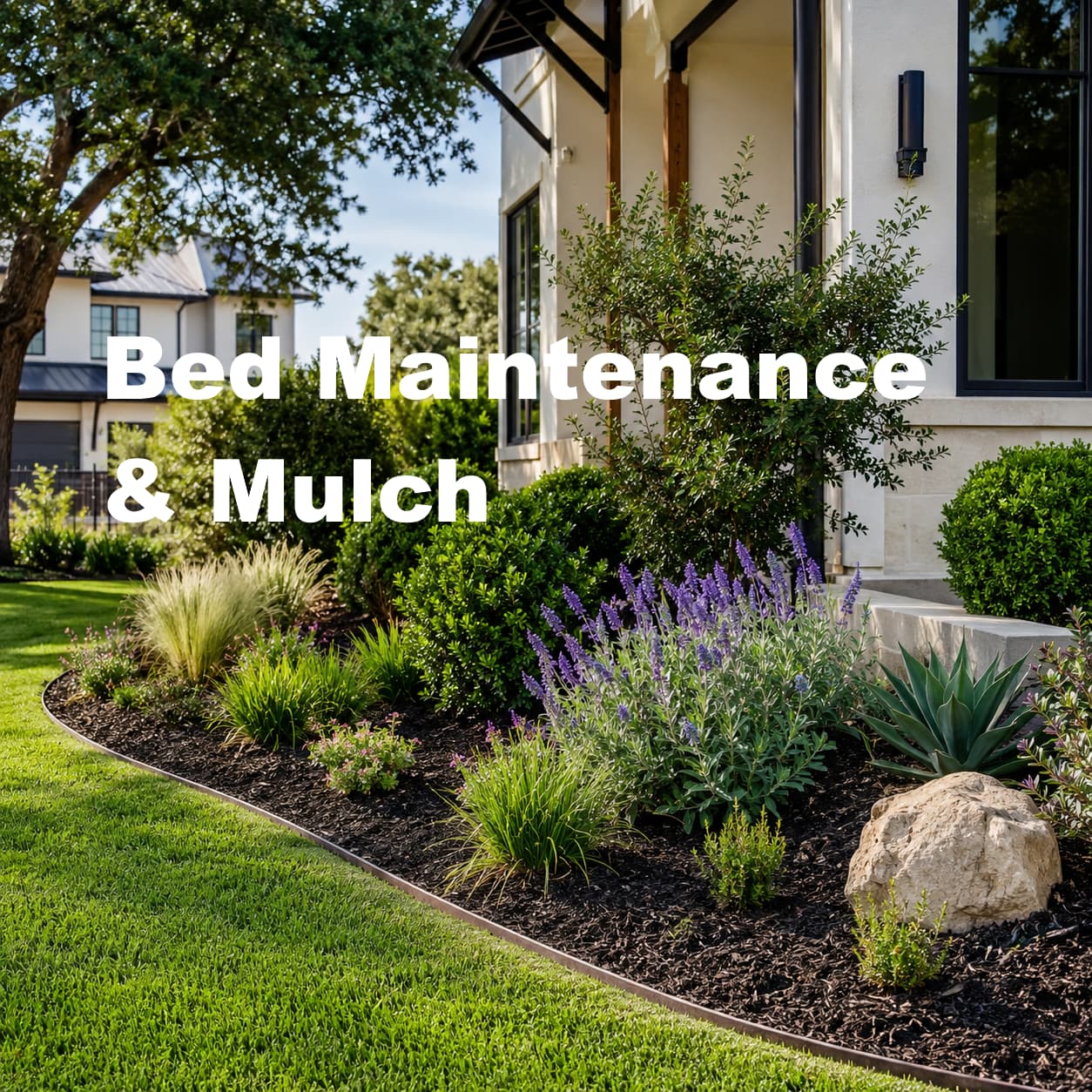 Planting beds with fresh dark mulch