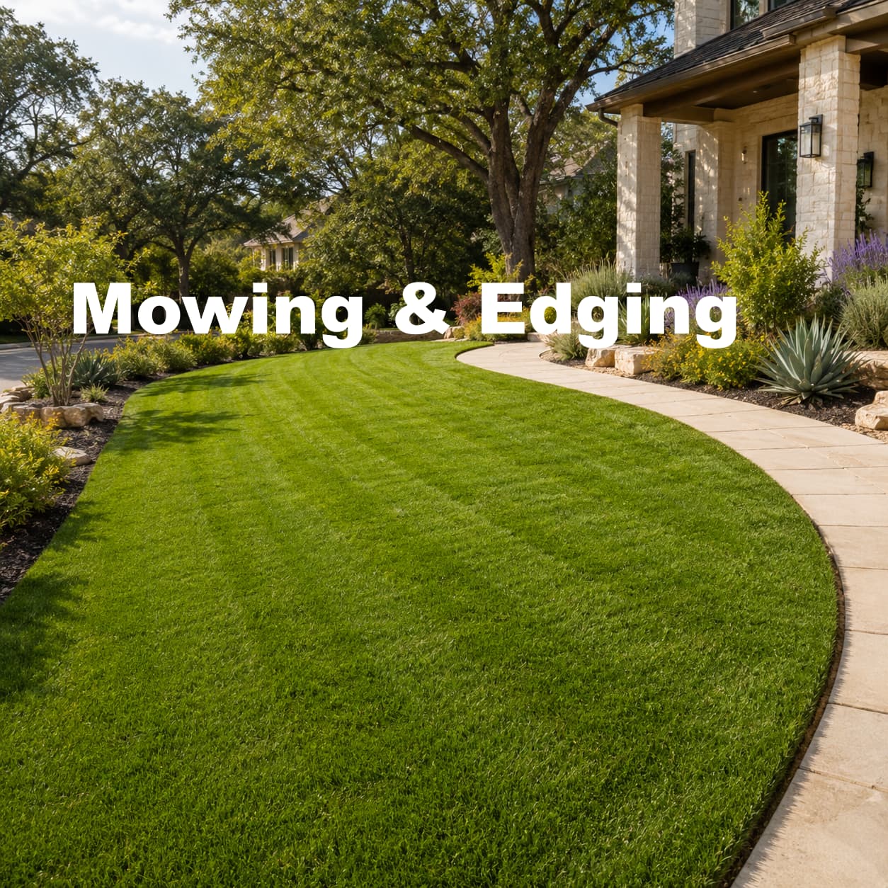 Lawn mowed beside a clean edged border